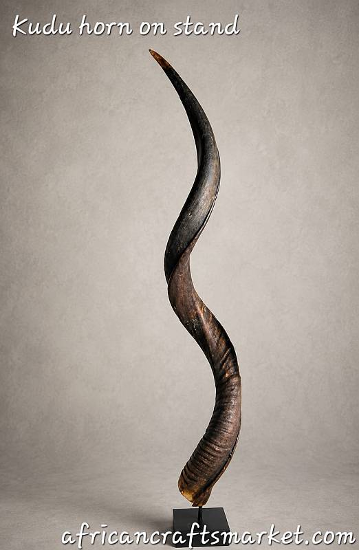 Authentic African loose natural kudu horn mounted on a display stand from South Africa