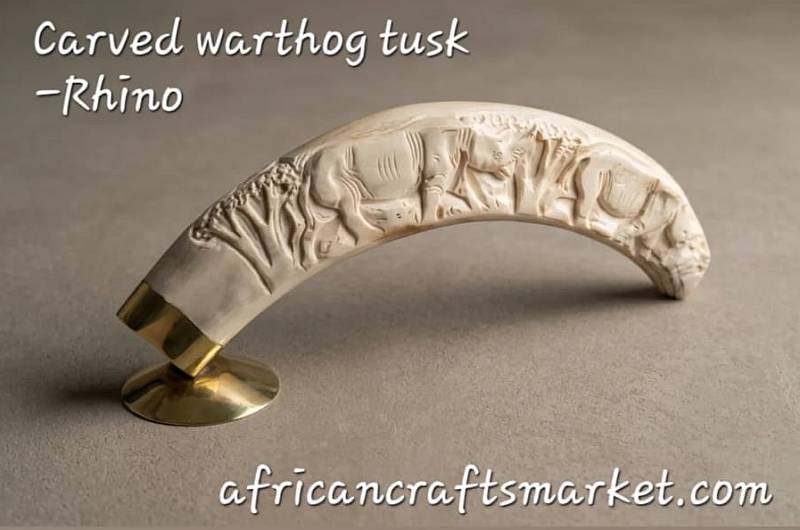 Exquisite hand-carved genuine warthog tusk sculpture featuring an intricate relief carving of an African rhinoceros in the wild