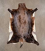 High-quality leather backing and soft hair-on coat of a professionally tanned blesbok skin