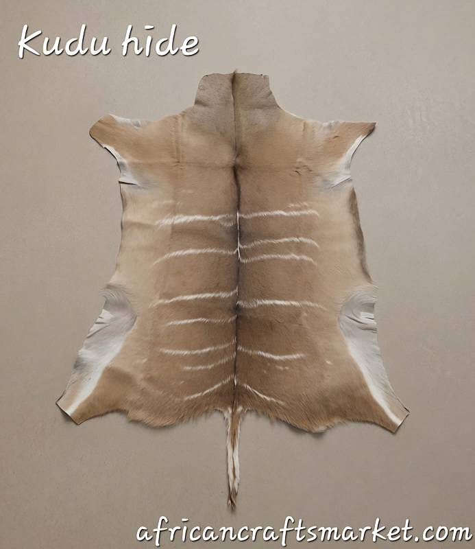 A premium, professionally tanned African Kudu hide rug with a rich brown coat and prominent, natural white vertical stripes, laid flat on a contemporary living room floor