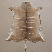 Kudu hide - skin