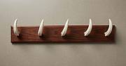 Authentic African Warthog Tusk Hanging Rack