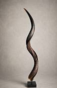 Natural South African kudu horn display collectible
