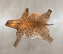 Smooth hair-on coat and heavy-duty, supple leather backing of a professionally tanned giraffe hide