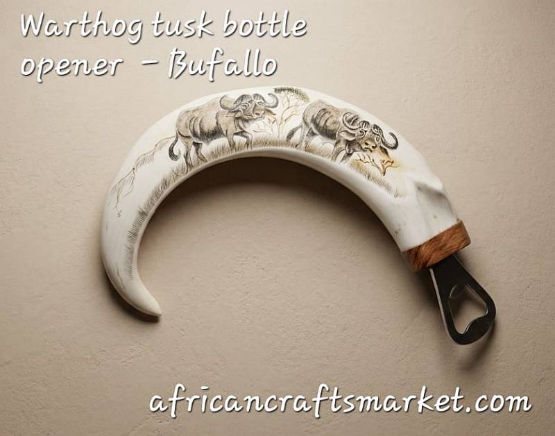 Warthog tusks bottle openers - Buffalo Detailed black ink scrimshaw etching of an African Cape Buffalo on a polished genuine warthog tusk bottle opener handle.
