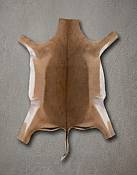 Close-up view of the supple leather backing and soft, fine hair-on coat of a professionally tanned impala skin