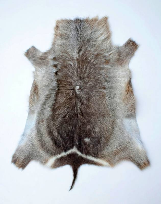 African Waterbuck Hide