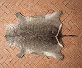 Waterbuck hide - skin