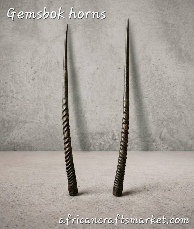 Authentic African Gemsbok horn for sale