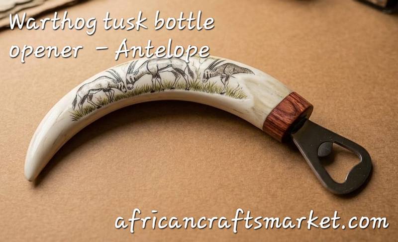 A genuine African warthog tusk bottle opener featuring a detailed hand-carved relief of an African antelope along the ivory handle